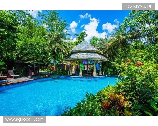 探索澳门金沙娱乐：奢华体验与无限乐趣的完美结合